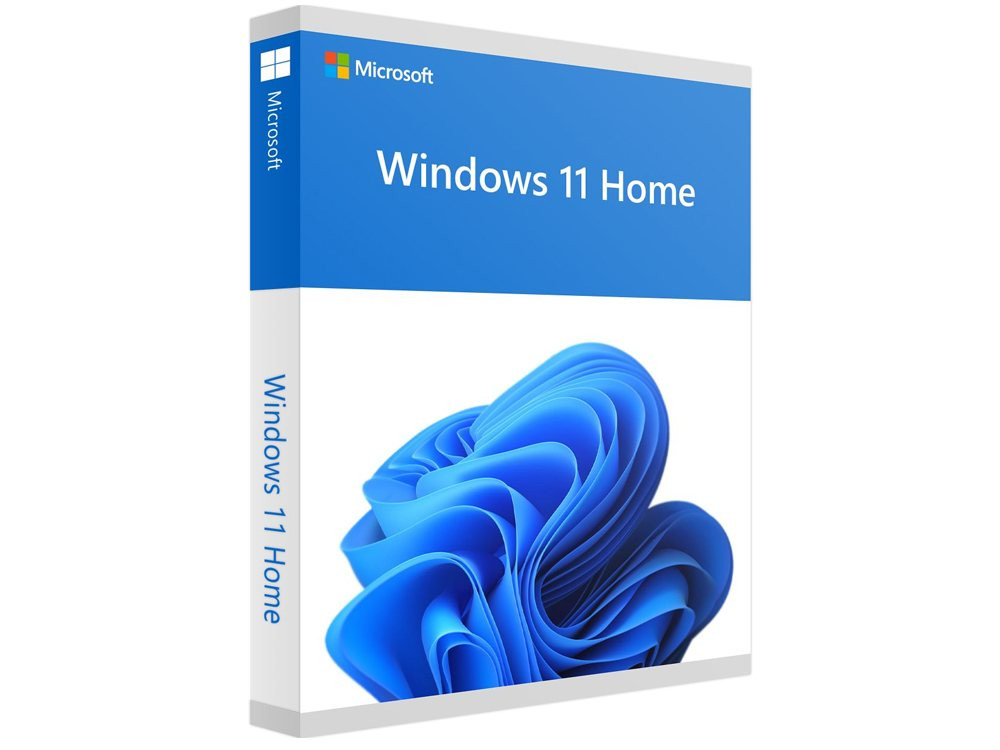 Windows 11